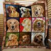 Golden Retriever Moments Premium Quilt Bz63